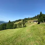 Finkhof *