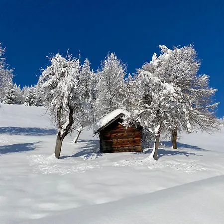Finkhof * Wagrain