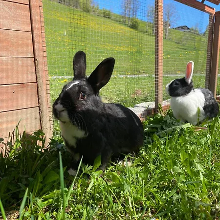 アパート Finkhof